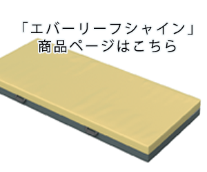 エバーリーフ商品ページバナー